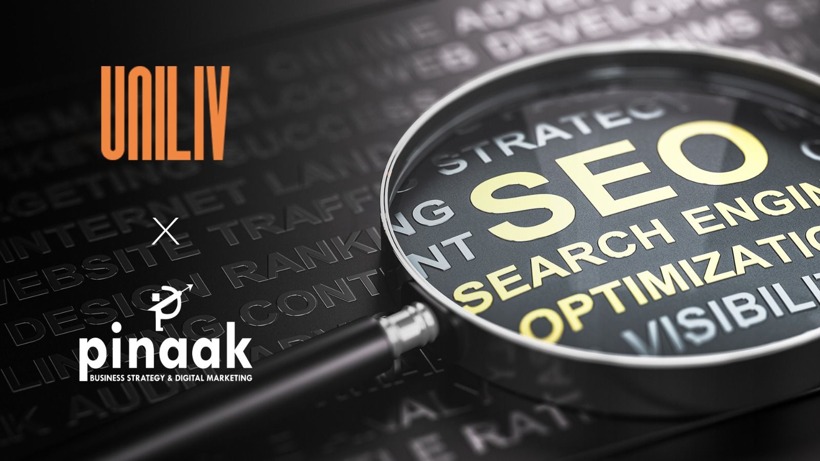 Best SEO Agency in Chandigarh