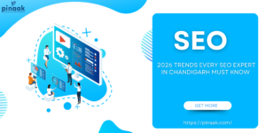 SEO Expert in Chandigarh
