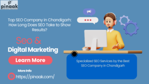 Top SEO Company in Chandigarh