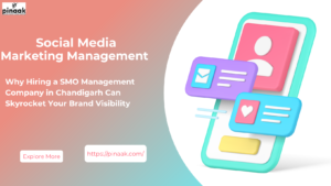 smo management company in chandigarh