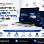 What types of businesses does the Best Website Designing Company in Chandigarh work with?