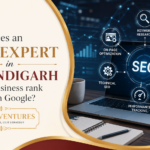 How does an SEO expert in Chandigarh help a business rank higher on Google?