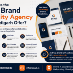 What Does the Best Brand Identity Agency in Chandigarh Offer?